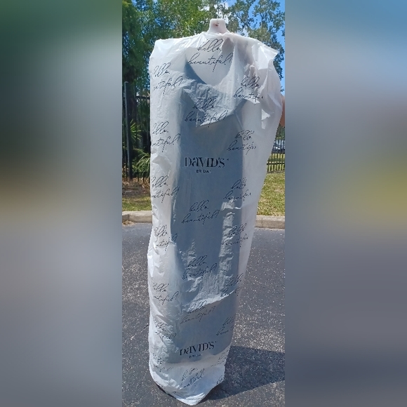 David's Bridal Bridesmaid Dress 🌷 - Picture 2 of 2